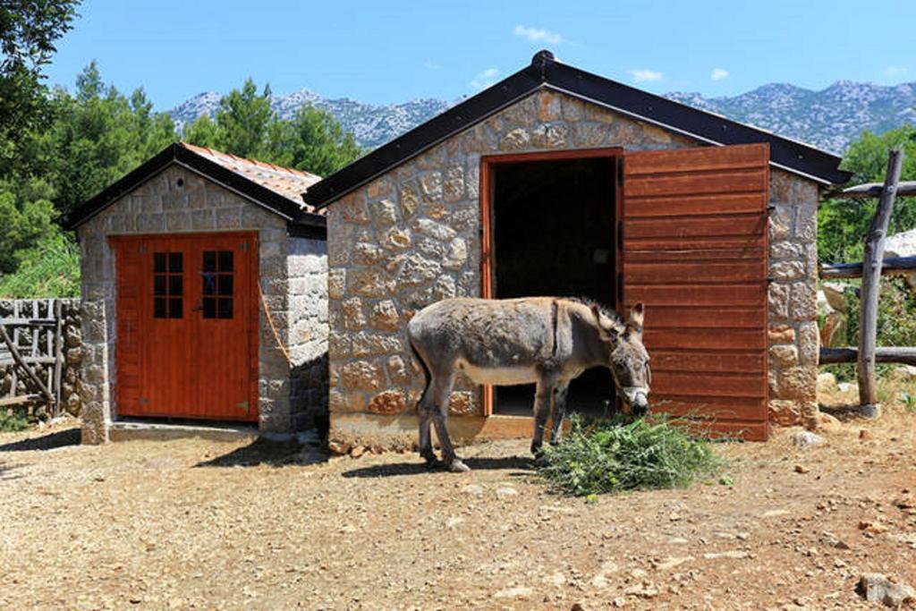 Stone House Magarac Διαμέρισμα Seline Εξωτερικό φωτογραφία